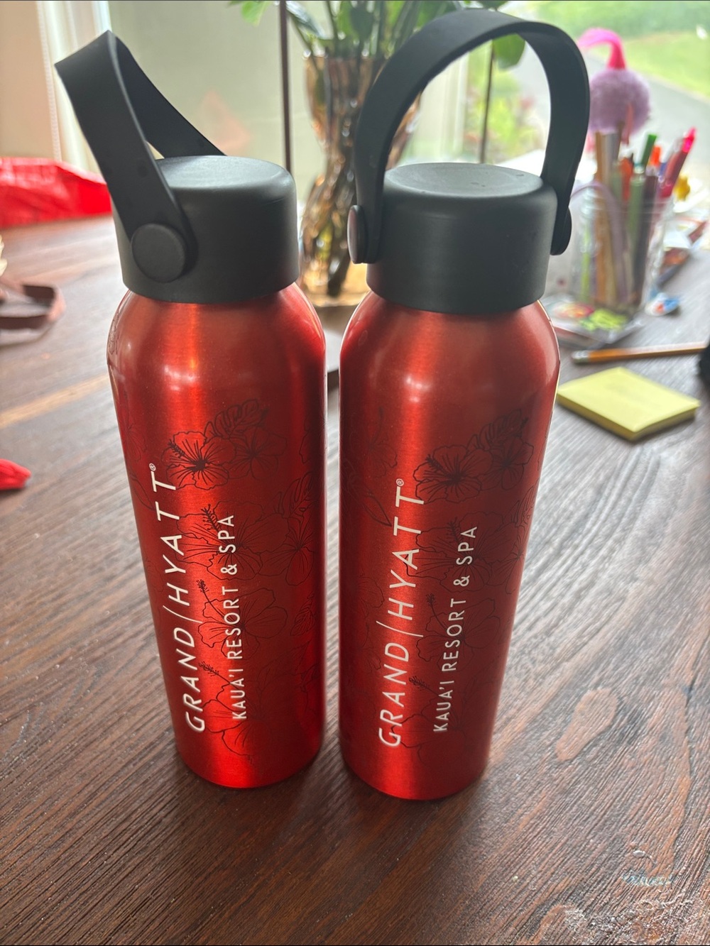 Grand Hyatt Red Stainless Water Bottle (Set of 2)